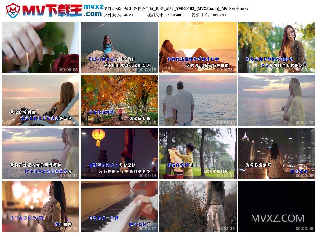 倪红-爱你爱到疯_国语_流行_YF900182